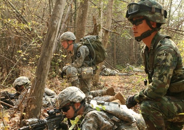 Multinational forces observe, train for culminating live-fire exercise