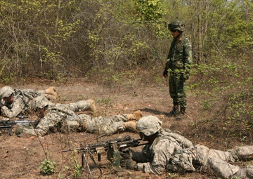 Multinational forces observe, train for culminating live-fire exercise