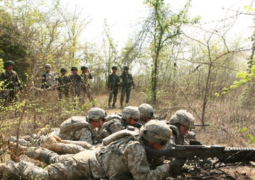 Multinational forces observe, train for culminating live-fire exercise