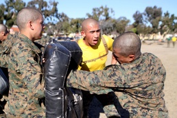 Recruits get taste of combat fitness
