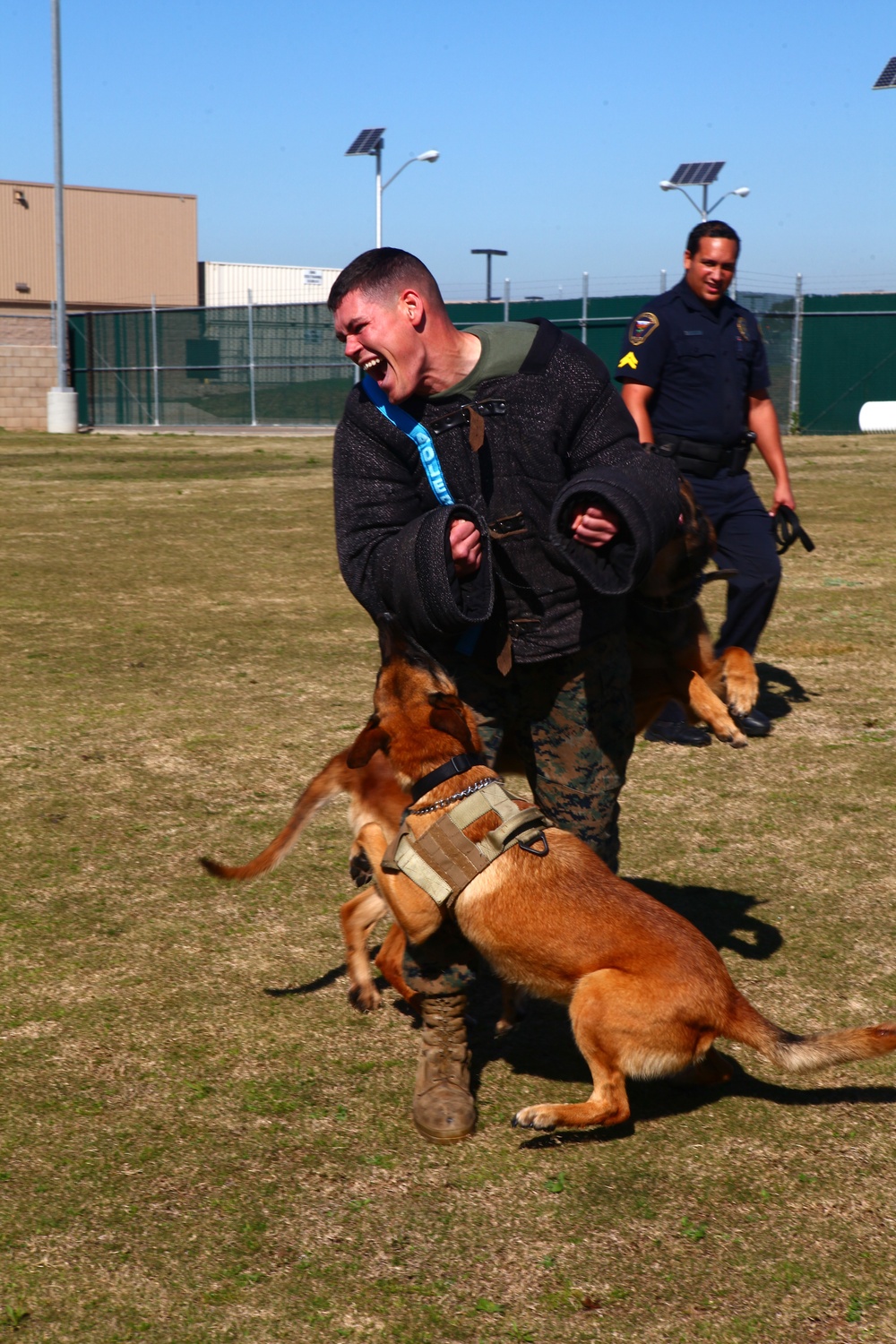 Miramar military working dogs take over The Great Escape