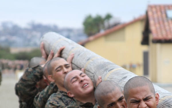 Log drills