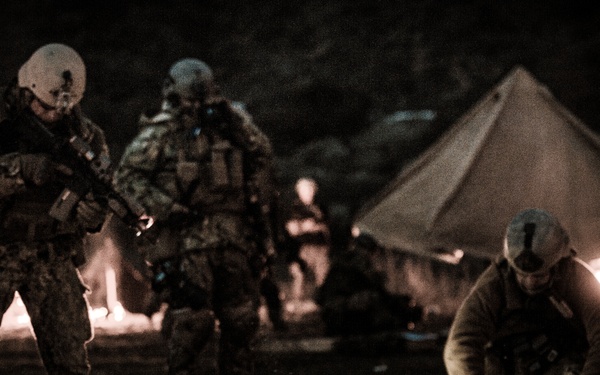 US, Canadian service members assault training camp during Quick Shot 2013