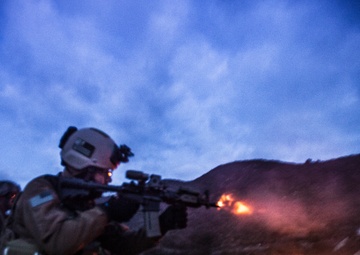 US, Canadian service members assault training camp during Quick Shot 2013