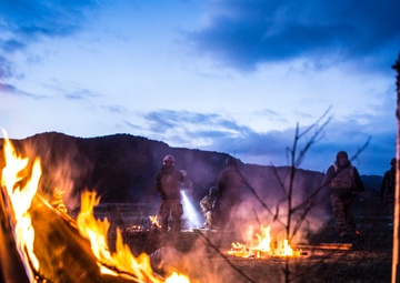US, Canadian service members assault training camp during Quick Shot 2013