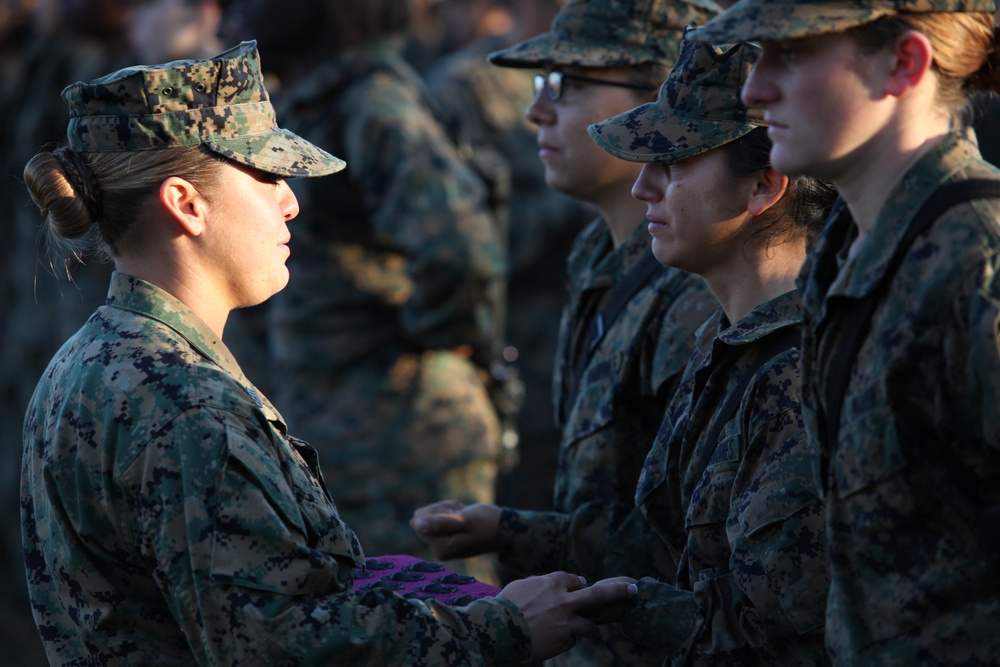 4th RTBN Eagle, Globe, and Anchor Ceremony