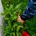 National Wreaths Across America Day ceremony