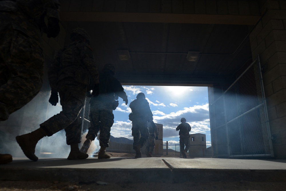 2nd BCT, 1 ID trains at NTC for AFRICOM