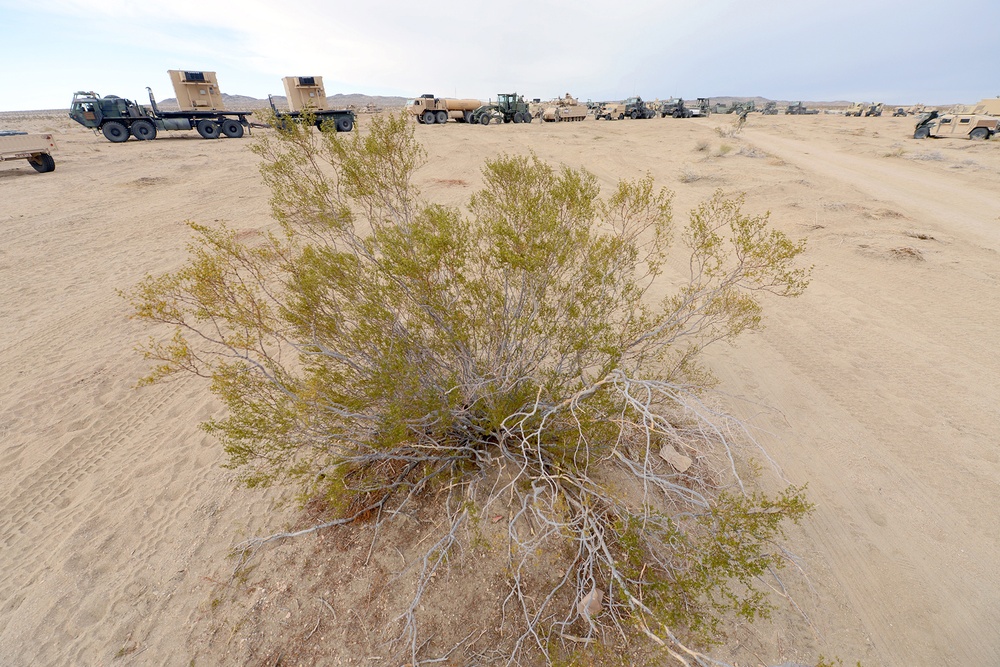 2nd BCT, 1 ID trains at NTC for AFRICOM