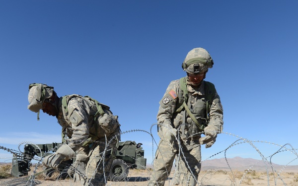 2nd BCT, 1 ID trains at NTC for AFRICOM