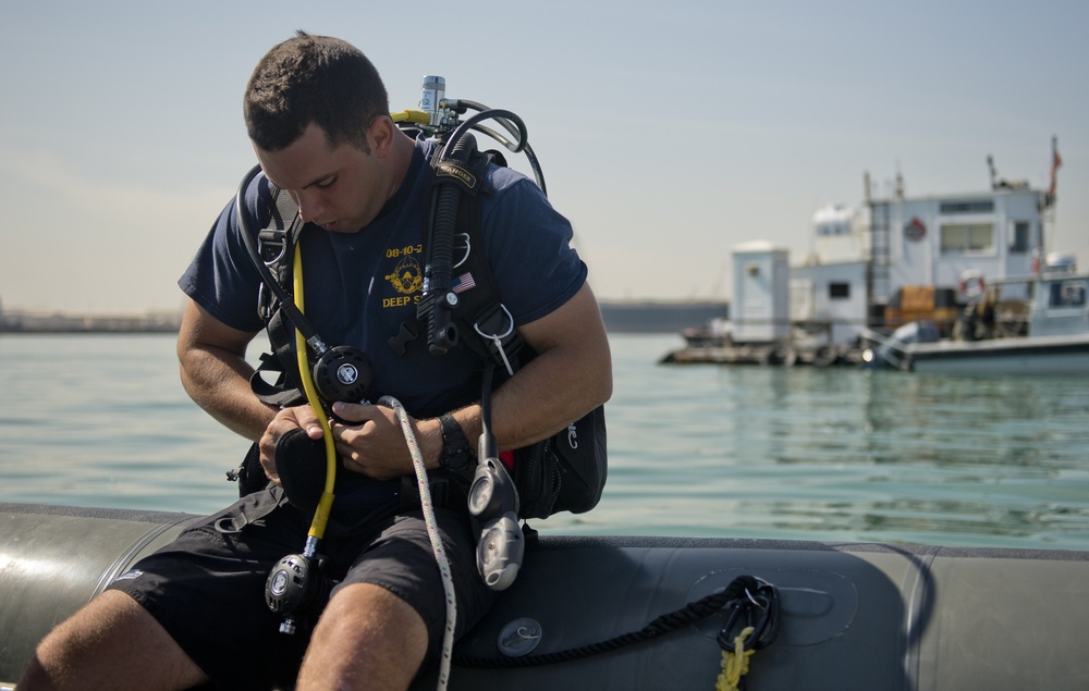 Anti-Terrorism Force Protection inspection dive