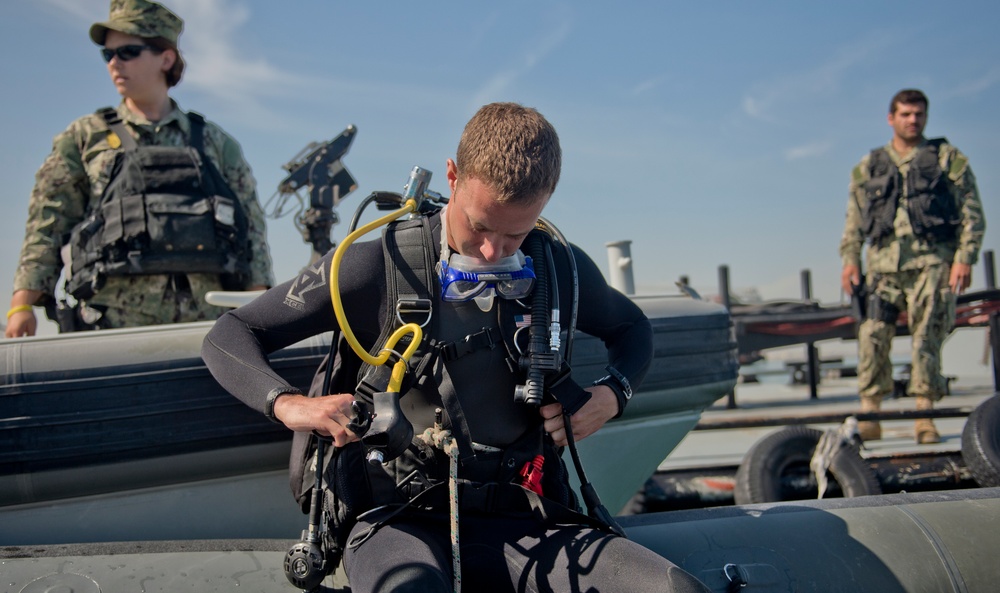 Anti-Terrorism Force Protection inspection dive