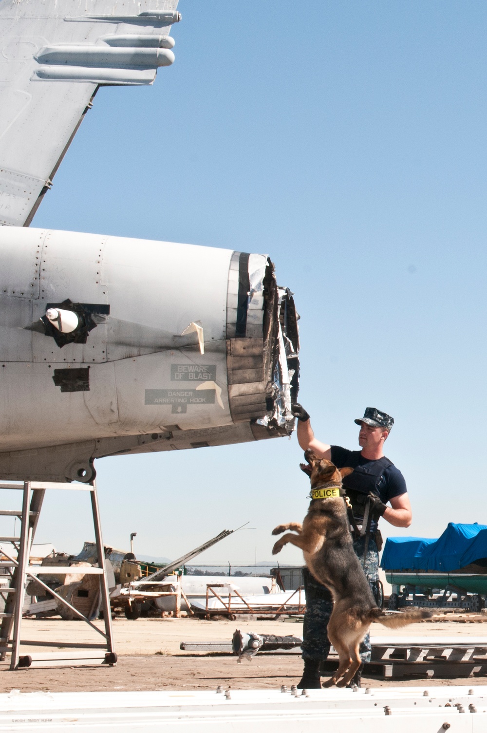 Military working dog training in San Diego