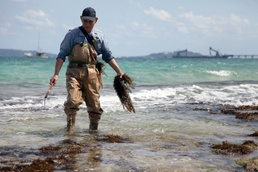 Camp welcomes community for hijiki harvest