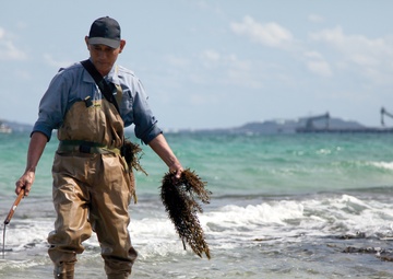 Camp welcomes community for hijiki harvest