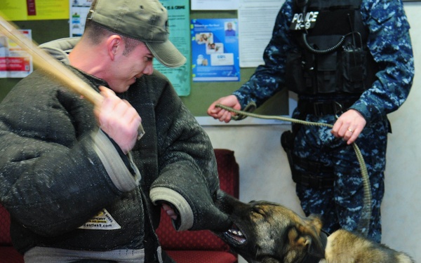 K-9 training