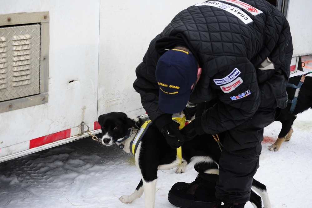 Iditarod restart in Willow, Alaska