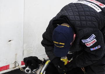 Iditarod restart in Willow, Alaska