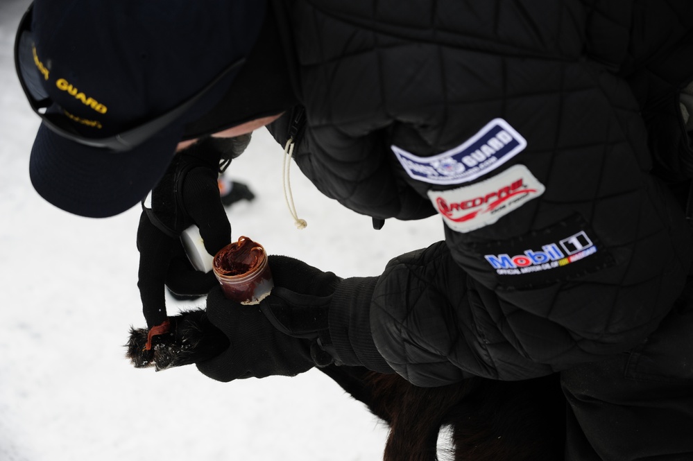 Iditarod restart in Willow, Alaska