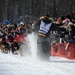 Iditarod restart in Willow, Alaska