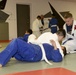 Art of Brazilian Jiu-Jitsu