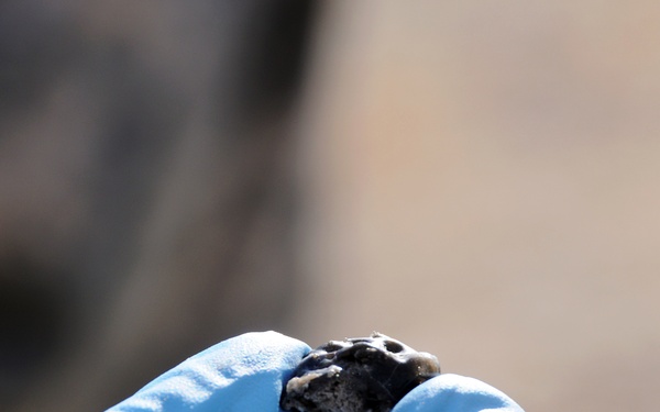 Training days: From craters to clay