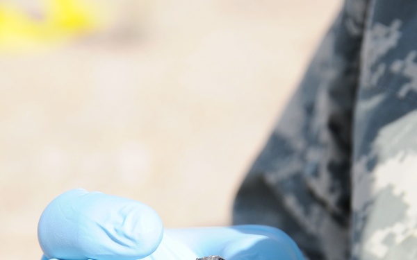 Training days: From craters to clay