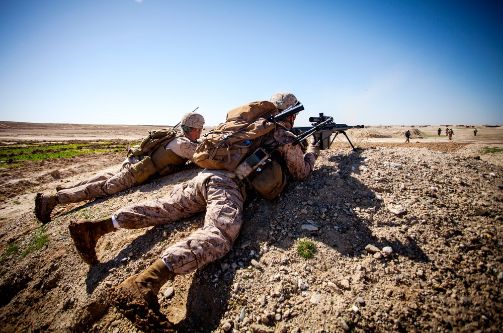 Echo 2/9 Marines conduct combat operations