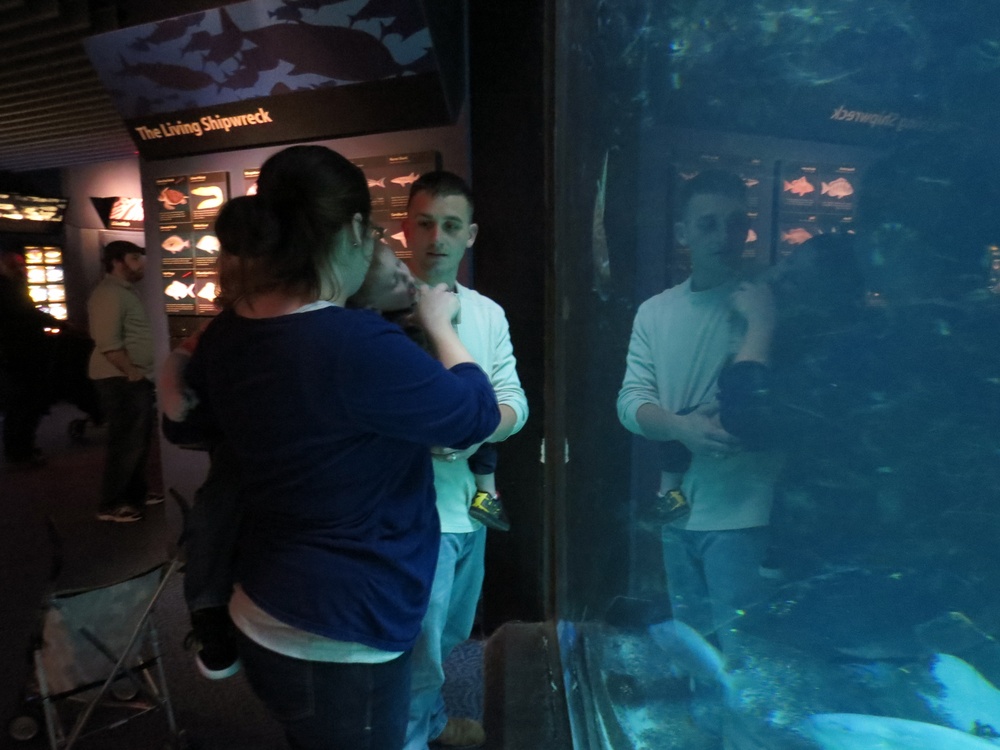 NC Aquarium brings sea to shore