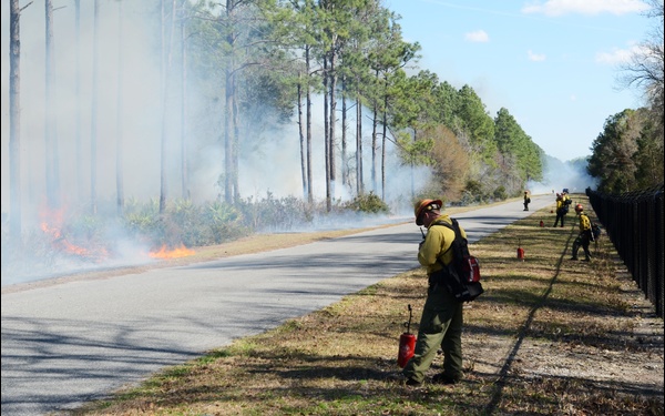 NSB Kings Bay conducts prescribed burn