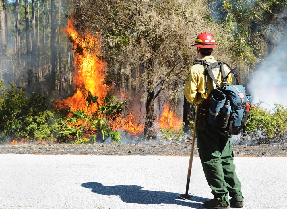 NSB Kings Bay conducts prescribed burn