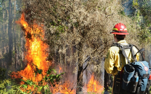 NSB Kings Bay conducts prescribed burn