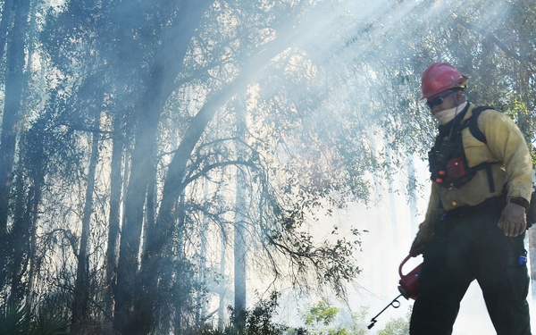 NSB Kings Bay conducts prescribed burn