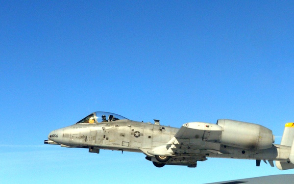 ‘Hogs’ receive gas before ‘Falcons’