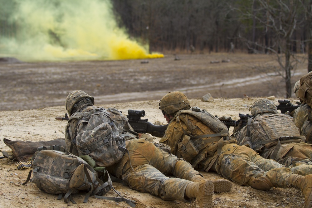 1st platoon, Charlie Troop, 5-73 CAV