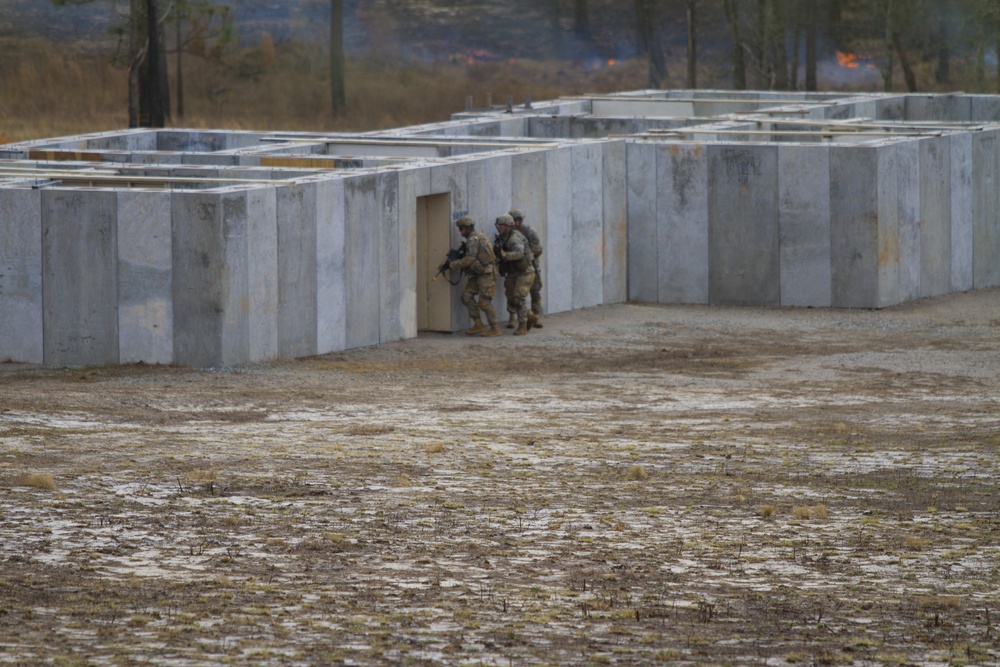 1st platoon, Charlie Troop, 5-73 CAV