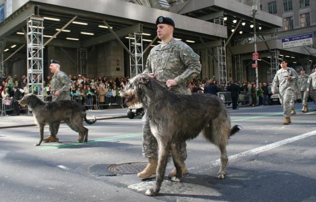 New York National Guard's 69th Infantry leads world's largest Irish Heritage celebration