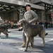 New York National Guard's 69th Infantry leads world's largest Irish Heritage celebration