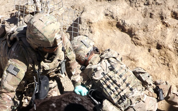 Zabul ADT travels to Shin Kay district, Afghanistan to vaccinate more than 1,500 animals