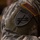 Close-up photograph of a U.S. Army soldier's left shoulder sleeve, showing unit insignia patches on an Army Combat Uniform (ACU) in Universal Camouflage Pattern (UCP). Two patches are clearly visible: a subdued 'AIRBORNE' tab above a shield-shaped unit crest featuring crossed arrows, and a full-color U.S. flag patch. The crossed arrows insignia is consistent with U.S. Army Special Forces (Green Berets) unit identification.
