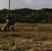 Marines Fast Rope During Guahan Shield