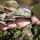 Exercise Southern Raider 13