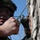 Exercise Southern Raider 13