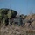 Exercise Southern Raider 13