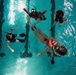 Rescue Swimmer School