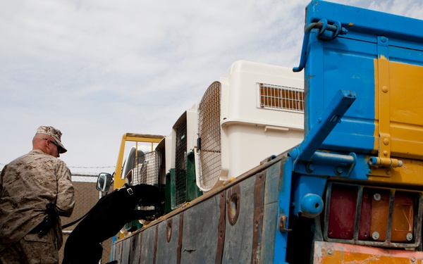 Improvised Explosive Device Detection Dogs (IDD)