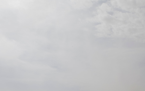 Improvised Explosive Device Detection Dogs (IDD)