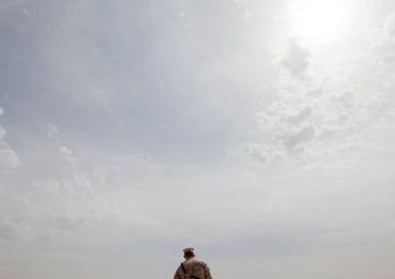 Improvised Explosive Device Detection Dogs (IDD)