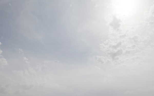 Improvised Explosive Device Detection Dogs (IDD)