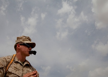 Improvised Explosive Device Detection Dogs (IDD)